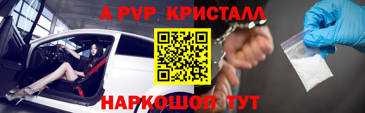 A PVP СК КРИС Кудымкар